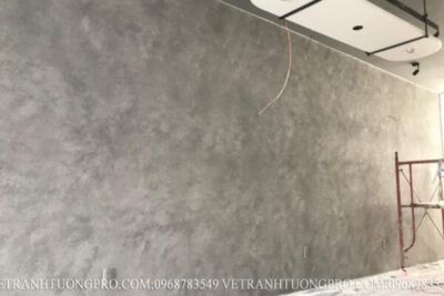 Ctrinh thi công sơn hiệu ứng tại Hà Nội - ms05