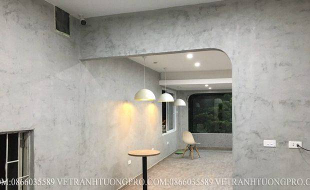 Ctrinh thi công sơn hiệu ứng tại Hà Nội - ms05